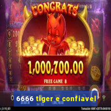 6666 tiger e confiavel